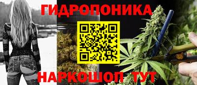 метадон Новозыбков