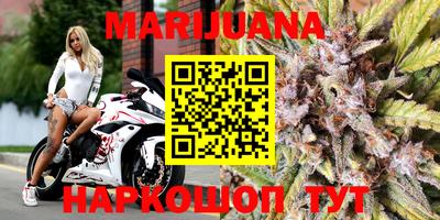 мяу мяу мука Нарткала