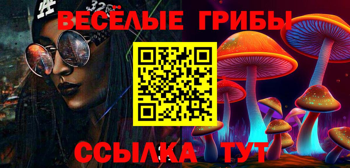 Сызрань  Псилоцибиновые грибы ЛСД  Вход с VPN  Псилоцибиновые грибы прущие грибы 